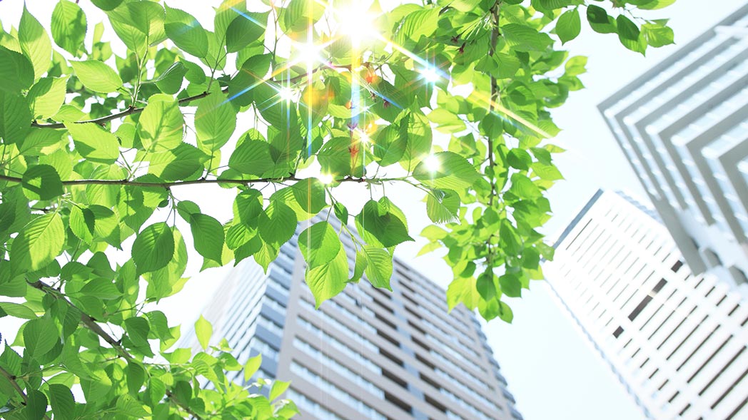 Baum vor Gebäude