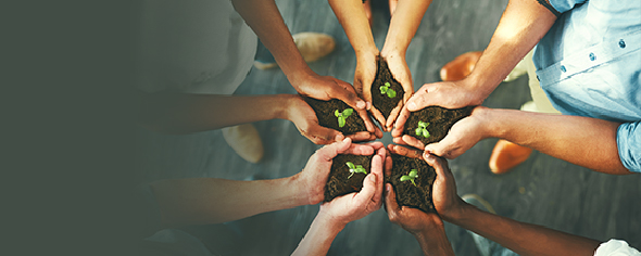Integrate Sustainability into HR